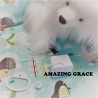 Boîte à musique "AMAZING GRACE"