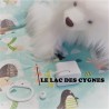 Boîte à musique "LE LAC DES CYGNES" de Tchaïkovski