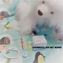 Boîte à musique "GEORGIA ON MY MIND" de R. CHARLES