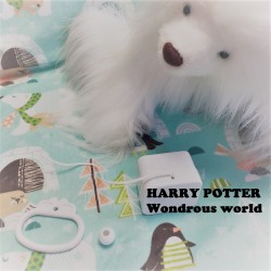 Boîte à musique "HARRY POTTER - WONDROUS WORLD"