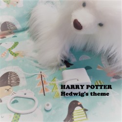 Boîte à musique "HARRY POTTER - HEDWIG'S THEME"