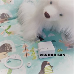 Boîte à musique "CENDRILLON - A DREAM IS A WISH"