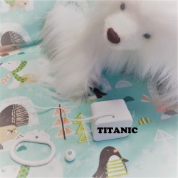 Boîte à musique "TITANIC - MY HEART WILL GO ON" C. DION
