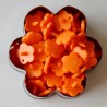 Pressions KAM fleur - orange MAT