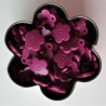 Pressions KAM fleur - prune MAT