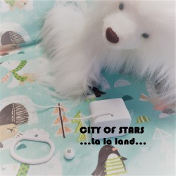 Boîte à musique "CITY OF STARS"- la la land