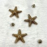 Rivets Etoile de mer dorée  x5