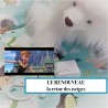 Boîte à musique "le renouveau" - LA REINE DES NEIGES