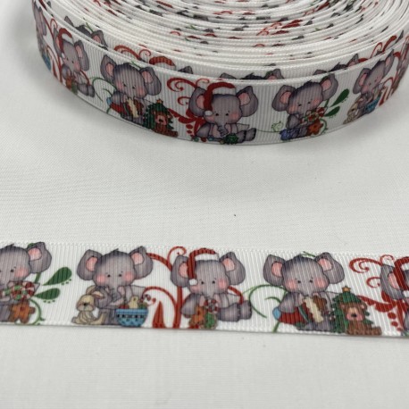 Ruban gros grain "Chevron" - multicolor