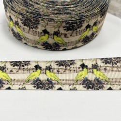 Ruban Gros grain "Jardin vert"