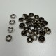 Pressions GRIFFES 11mm - BRONZE