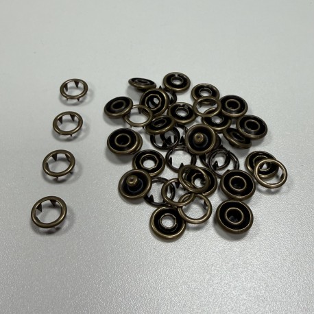 Pressions GRIFFES 11mm - BRONZE